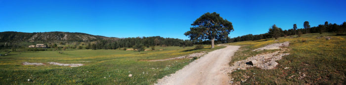 El Pla de Busa, ufanós